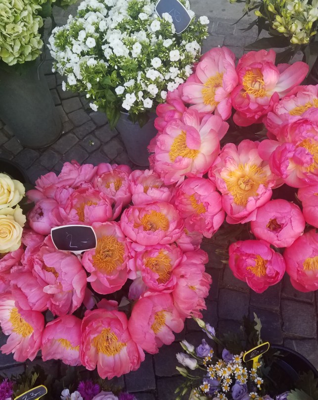 20170628_103423 (2).jpg